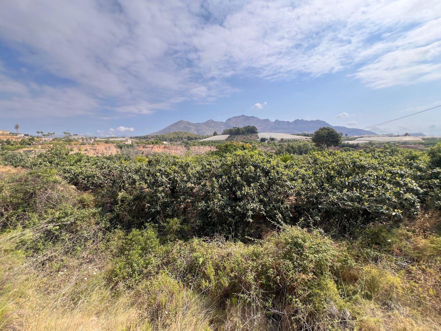 Terreno rural